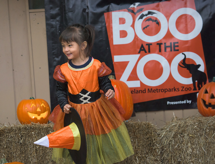 Boo at the Zoo at the Cleveland Zoo
